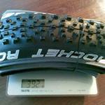 Schwalbe Rockt Ron 2.1