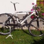 11,16 - Storck Adrenalin