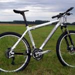 Light-Bikes